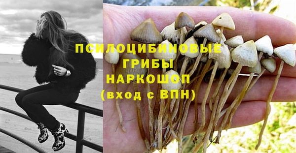 мяу мяу кристалл Баксан