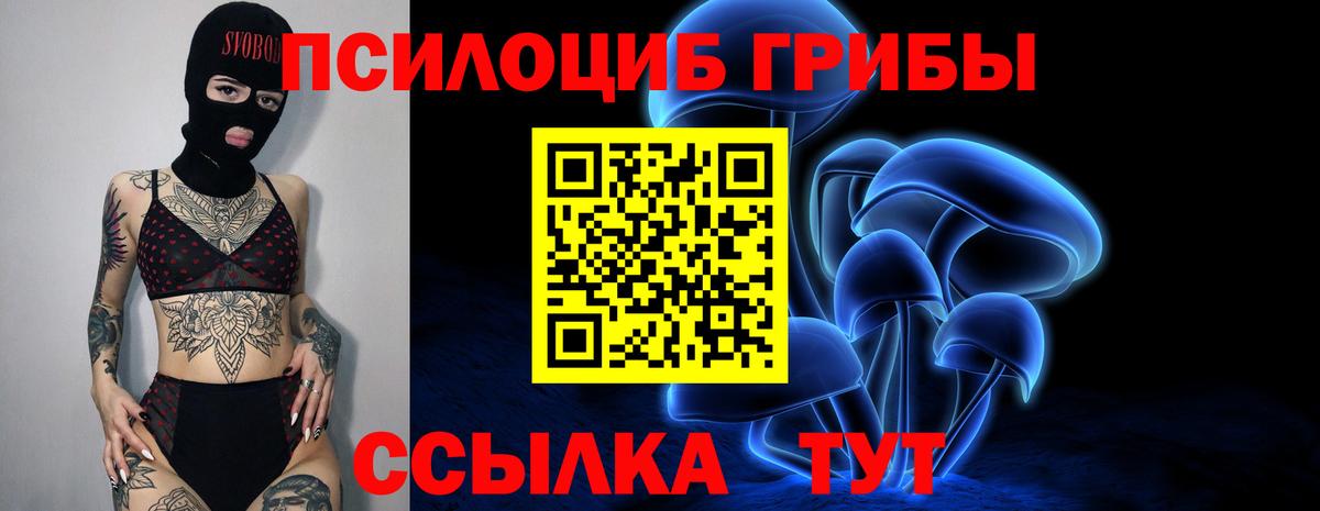 Псилоцибиновые грибы мухоморы  Вход с VPN  Галлюциногенные грибы MAGIC MUSHROOMS  Гатчина 