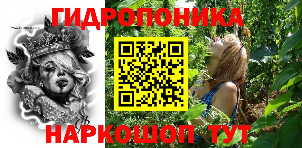 Канабис семена  Вход с VPN  Шишки марихуана планчик  Гатчина 